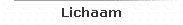 Lichaam