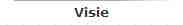 Visie