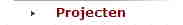 Projecten