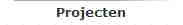 Projecten