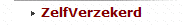 ZelfVerzekerd