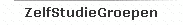 ZelfStudieGroepen