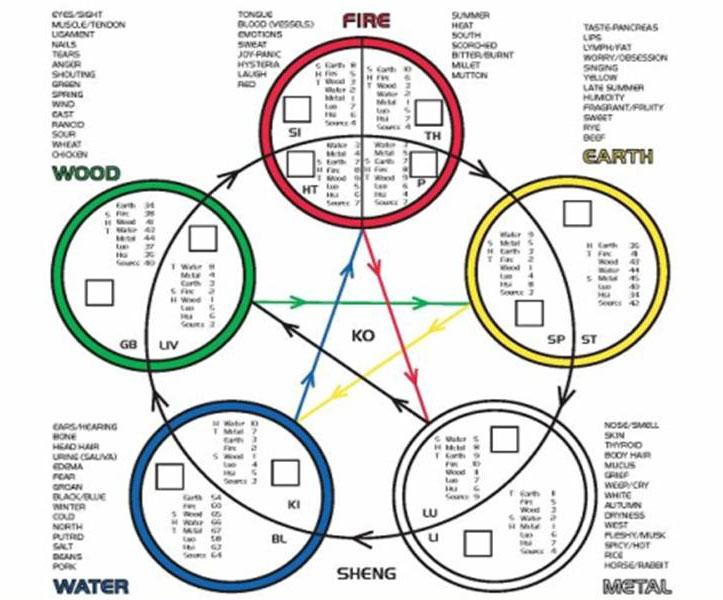 5 element cycle