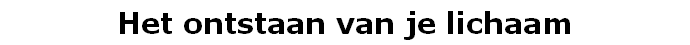 Het ontstaan van je lichaam
