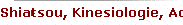 Shiatsou, Kinesiologie, Acupunctuur, Meridiaantherapie