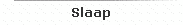 Slaap