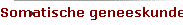 Somatische geneeskunde