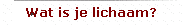 Wat is je lichaam?