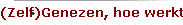 (Zelf)Genezen, hoe werkt dat?